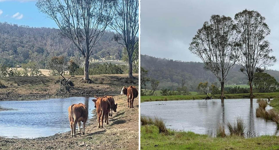 Two contrasting images of the same dam. On the left, the land is barren and dry. On the right, it's lush and green.