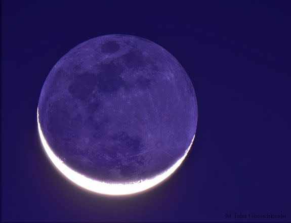 Taken from Esfahan, Iran, planet Earth, this image captures Earthshine, light from Earth illuminating the Moon's night side. An observer on the Moon looking our way at the same moment would have seen a brilliantly lit, nearly full Earth. Image