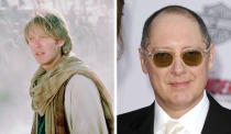 James Spader: Kudos to the ever-awesome Spader not giving an actorly toss about losing that unruly mane as seen in ‘Stargate’, ‘White Palace’ and ‘Crash’, even though these days he does often rock a wicked fedora.