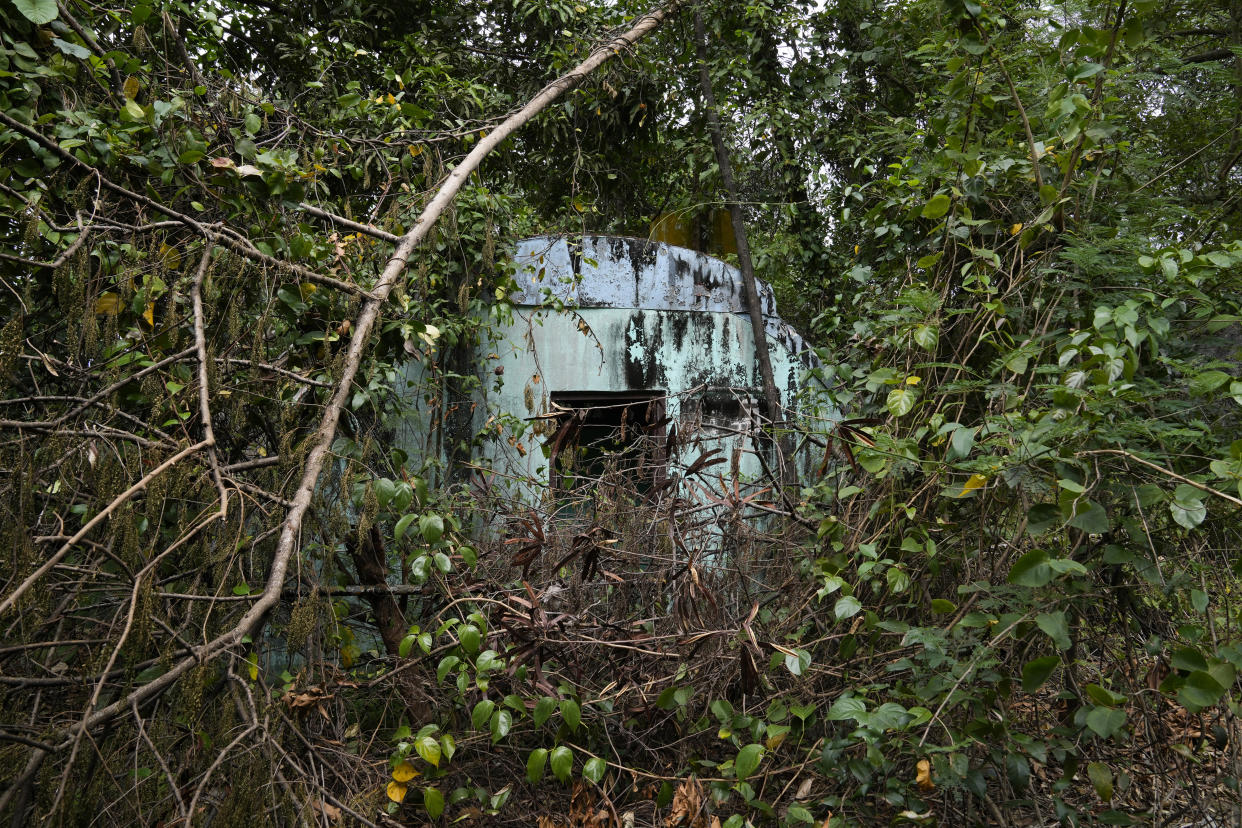 Trees and wild vines almost cover an abandoned concrete structure called "Quonset huts" formerly used as barracks for U.S. Marines in what used to be America's largest overseas naval base at the Subic Bay Freeport Zone, Zambales province, northwest of Manila, Philippines on Monday Feb. 6, 2023. The U.S. has been rebuilding its military might in the Philippines after more than 30 years and reinforcing an arc of military alliances in Asia in a starkly different post-Cold War era when the perceived new regional threat is an increasingly belligerent China. (AP Photo/Aaron Favila)