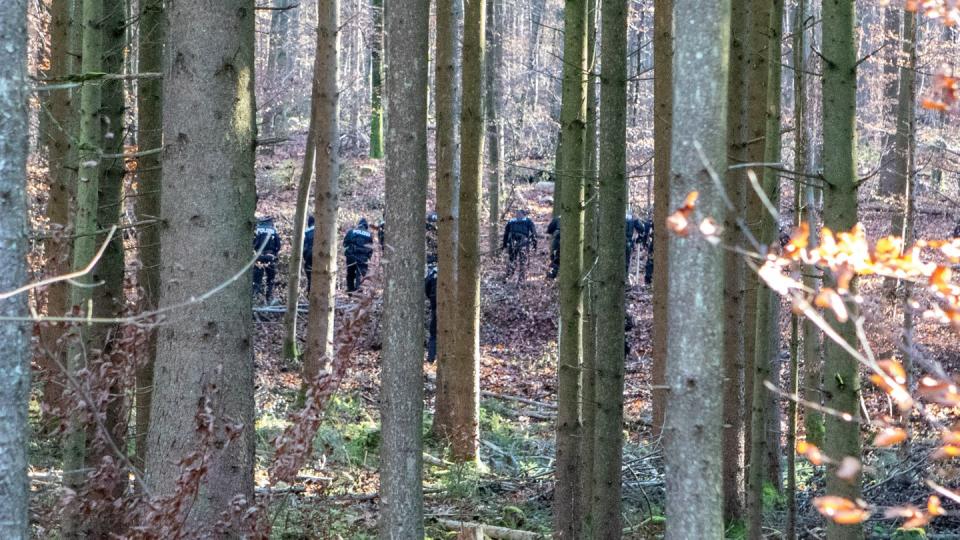 Polizisten durchforsten das Waldstück, in dem der Knochen der seit 1995 vermissten Sonja Engelbrecht gefunden wurde. (Bild: dpa)