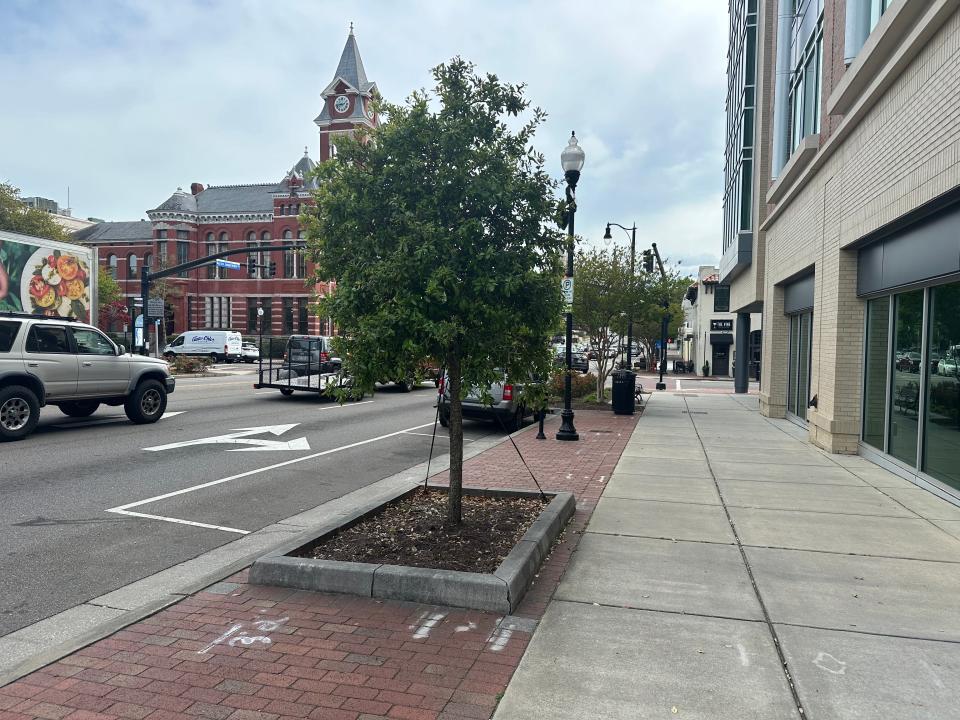 One of the 37 tree wells that the Municipal Services District team improved along Third Street in between Market Street and Davis Street.