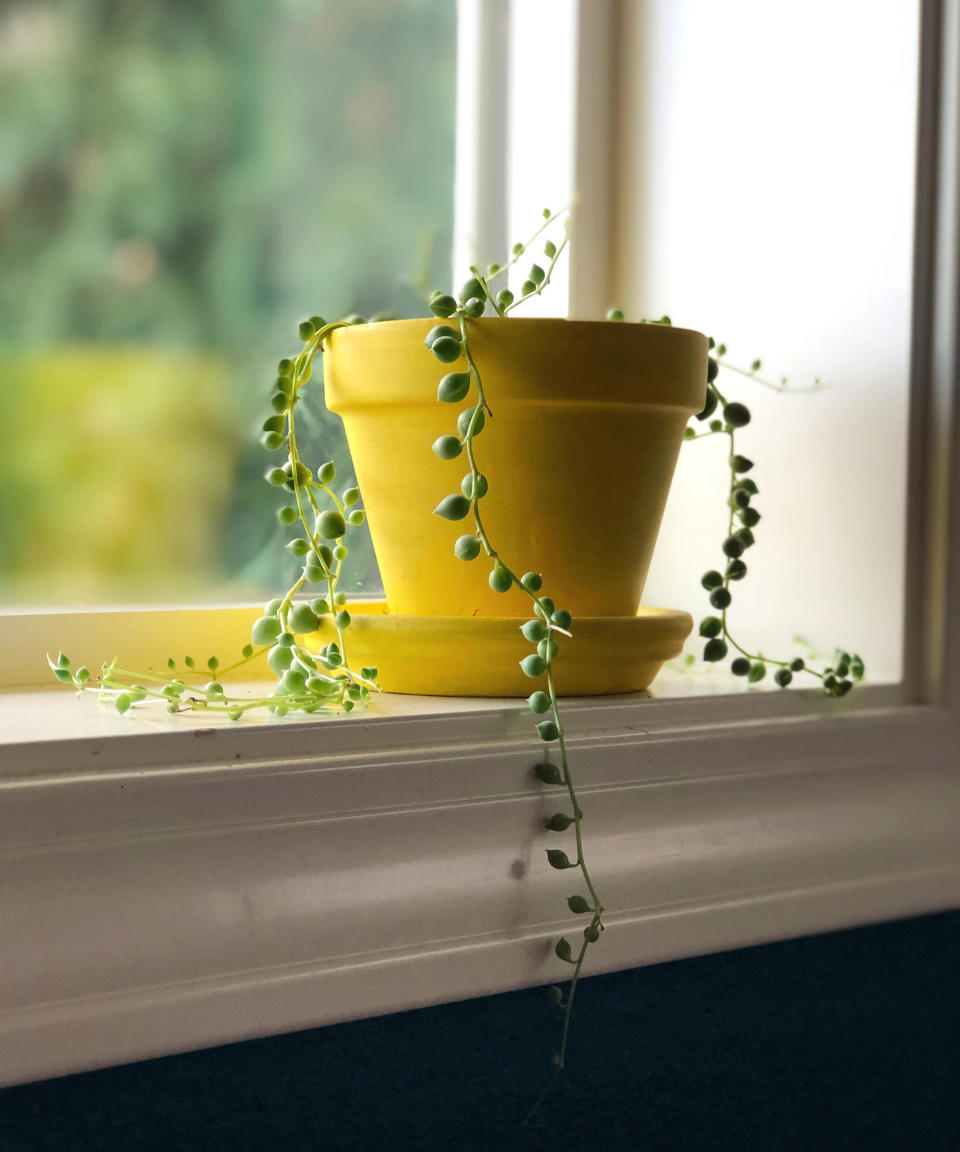 4. String-of-pearls