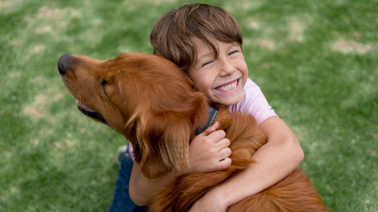 a young boy hugging a golden retriever dog