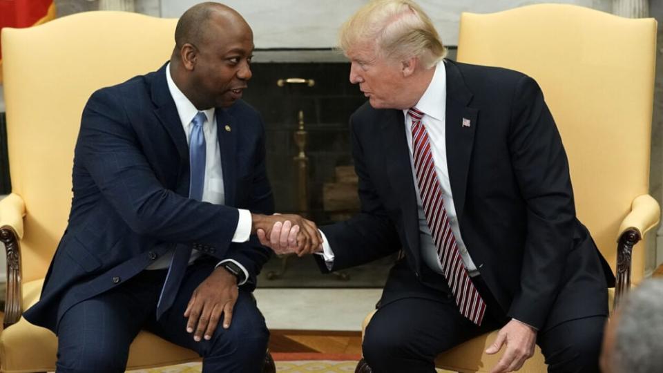 U.S. President Donald Trump shakes hands with Sen. Tim Scott (R-SC) during a working session regarding the Opportunity Zones provided by tax reform in the Oval Office of the White House February 14, 2018 in Washington, DC. (Photo by Alex Wong/Getty Images)