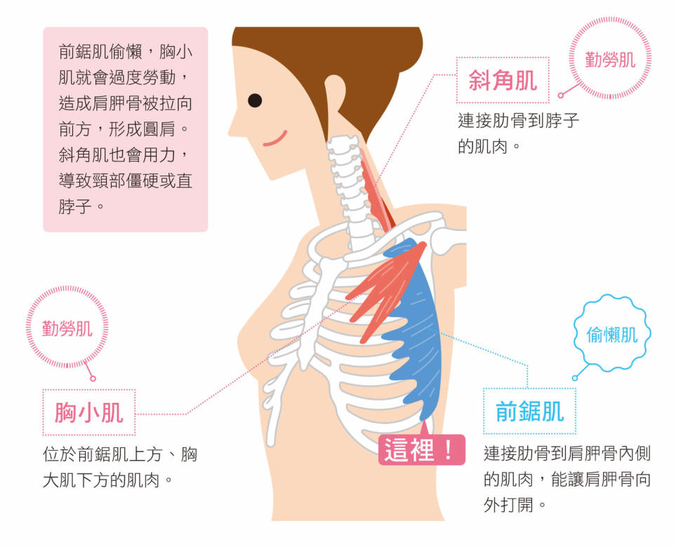 圖片來源：經《關節修復自癒運動：10秒伸展，簡單有效！ 》，蘋果屋出版授權使用，未經許可不得任意轉載。