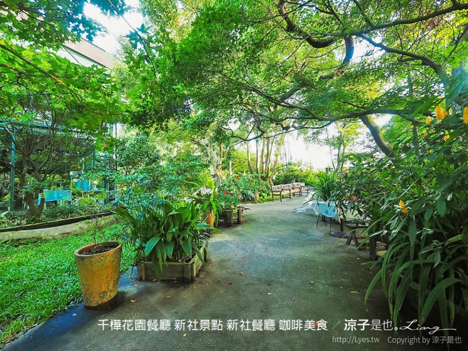 台中新社｜千樺花園餐廳