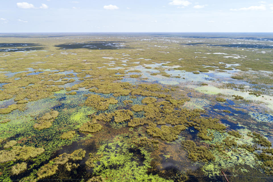 Fort Lauderdale, Weston, Florida, Everglades, Holey Land Francis S. Taylor Wildlife Management Area. (Jeffrey Greenberg/Universal Images Group via Getty Images)
