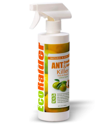 EcoRaid Ant & Crawling Insect Killer