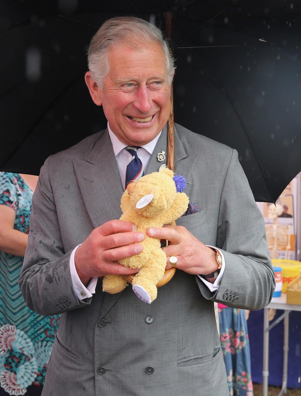 prince charles prince george teddy