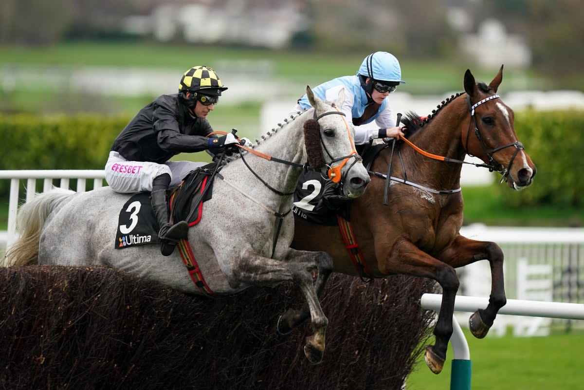 Highland Hunter (left) took part in the Ultima Handicap Chase and was later put down  (Mike Egerton/PA Wire)