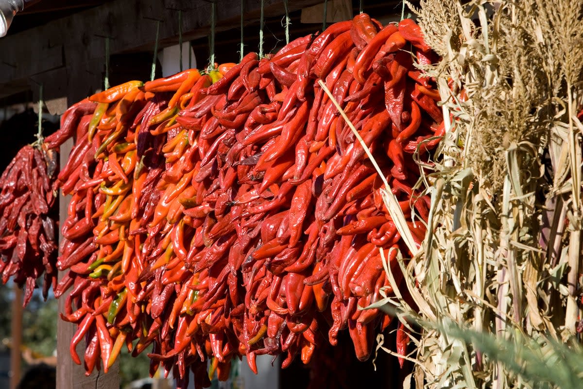 Chillis can be seen everywhere, hanging drying in the street (www.kipmalone.com)