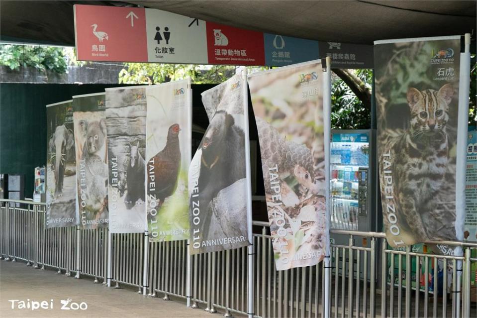 快新聞／台北動物園6/29重新開放！　許多動物寶寶成長中