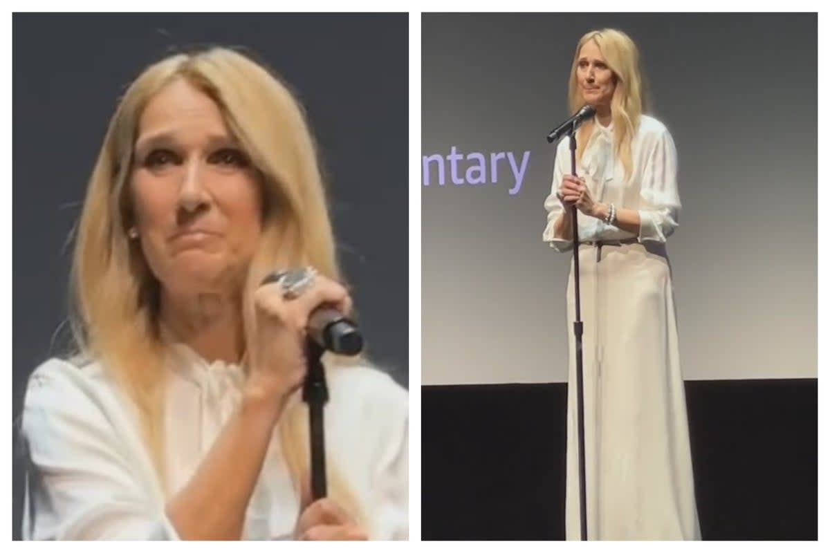 Celine Dion was left tearful on stage (TikTok/Celine Oracle/Cam Harrison)