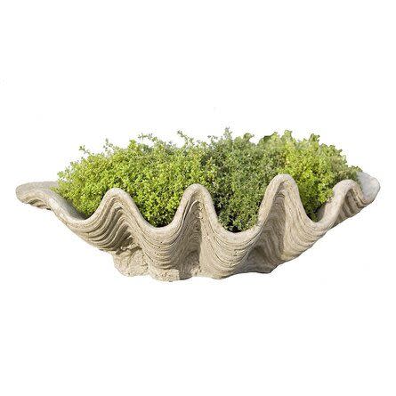 <p><a href="https://go.redirectingat.com?id=74968X1596630&url=https%3A%2F%2Fwww.perigold.com%2FCampania-International--South-Seas-Cast-Stone-Pot-Planter-P441-L349-K%7ECMNA1080.html&sref=https%3A%2F%2F" rel="nofollow noopener" target="_blank" data-ylk="slk:Shop Now;elm:context_link;itc:0;sec:content-canvas" class="link rapid-noclick-resp">Shop Now</a></p><p>By Campania International</p><p>perigold.com</p><p>$175.00</p>