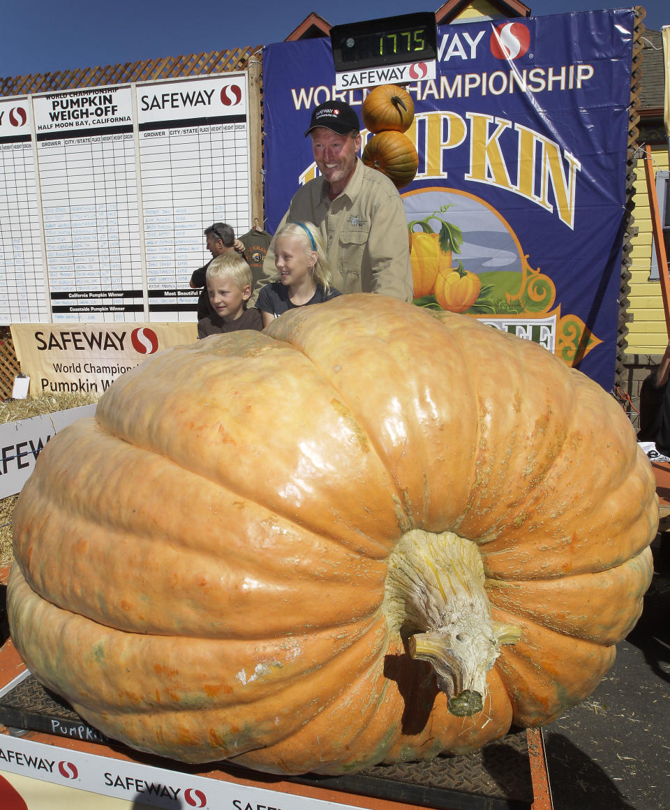 Thad Starr from Pleasant Hill, Ore. poses with his children Danika, center, and Derek, left, after winning the Half Moon Bay Pumpkin Festival Weigh-off contest in Half Moon Bay, Calif., Monday, Oct. 8, 2012. The pumpkin weighed 1,775 pounds, making it a new California record. Starr wins six dollars for each pound, which equals $10,650. (AP Photo/Tony Avelar)