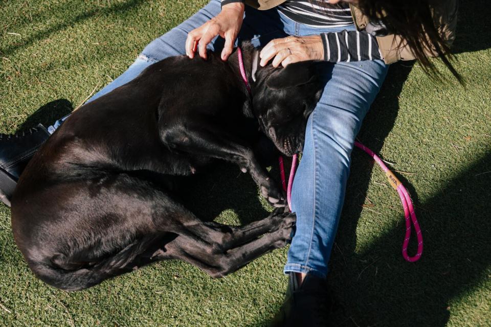 Rita Earl Blackwell pets a dog that snuggles between her legs