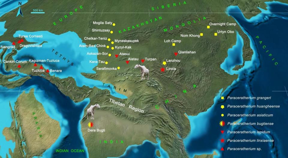 Distribution and migration of Paraceratherium in the Oligocene Eurasia. Localities of the early Oligocene species were marked by the yellow color, and the red indicates the late Oligocene species. / Credit: IVPP