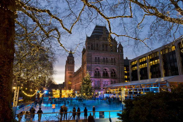 best ice rinks in london: natural history museum