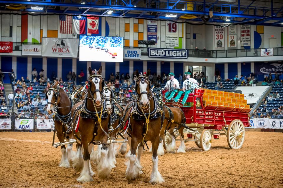 Anheuser Bush Clydesdales show the crowd how to dock a wagon with 5 tons in a small area, during the 26th Annual World Championship Ranch Rodeo.