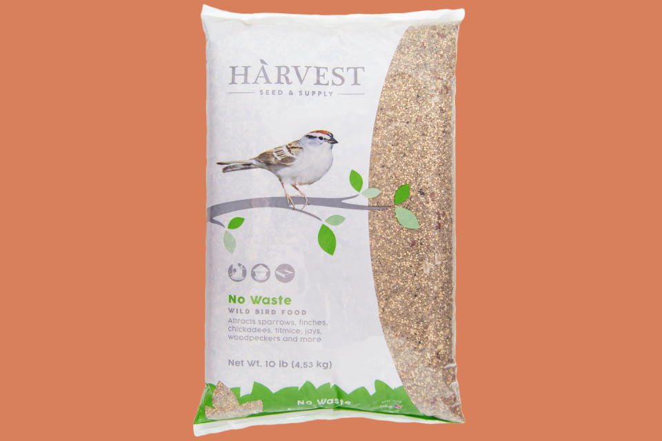 White Proso Millet