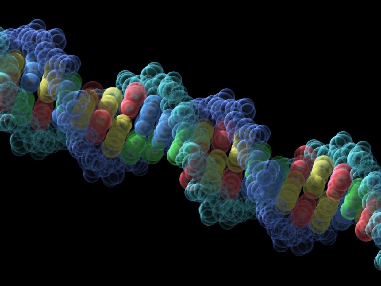 Looking at life at the atomic scale offers a more comprehensive understanding of the macroscopic world. <a href="https://www.gettyimages.com/detail/photo/colorful-model-of-helix-dna-strand-royalty-free-image/157531306" rel="nofollow noopener" target="_blank" data-ylk="slk:theasis/E+ via Getty Images;elm:context_link;itc:0;sec:content-canvas" class="link ">theasis/E+ via Getty Images</a>