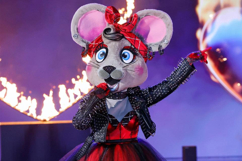 THE MASKED SINGER: Anonymouse