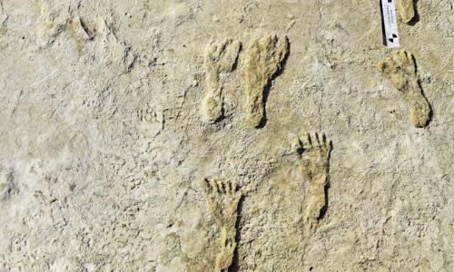 Human fossilized footprints at the White Sands national park in New Mexico