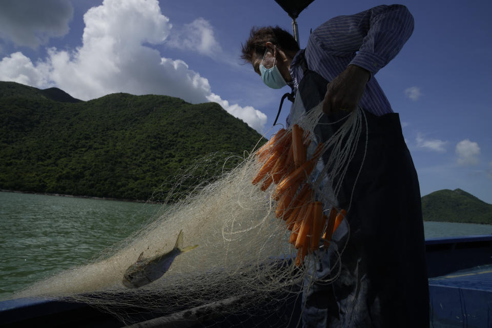 A fisherman Ng Koon-hee catches a fish in Tai O village of Hong Kong, Saturday, June 25, 2022. The Ng brothers, fishermen living in the remote Hong Kong village of Tai O, have carried on with their lives since moving from the Chinese mainland in the 1950s, untouched by political campaigns and even Britain's handover of the city to Chinese control in 1997. (AP Photo/Kin Cheung)