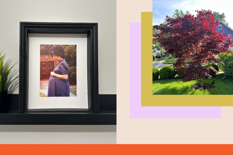 Graphic collage with a framed photo of the author Charli Penn's mother and a photo of a vibrant red tree in her yard