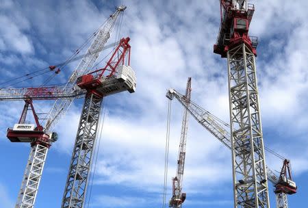 Cranes located on construction sites are seen in central Auckland, New Zealand, June 25, 2017. REUTERS/David Gray