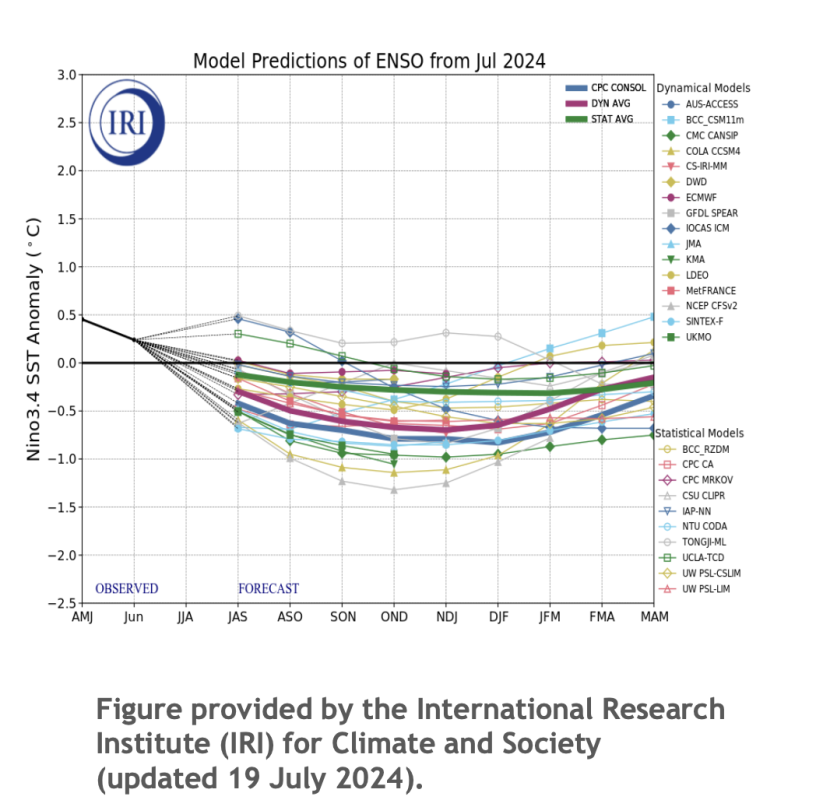 Model predictions of ENSO from July 2024.<p>International Research Institute (IRI) for Climate and Society/NOAA</p>