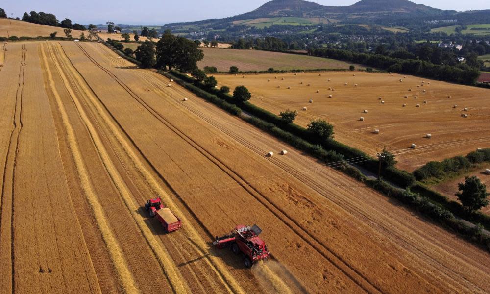 <span>Photograph: Rob Gray/Rex/Shutterstock</span>