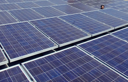 FILE PHOTO: A man views solar panels on a roof at Google headquarters in Mountain View, California, U.S., on June 18, 2007. REUTERS/Kimberly White/File Photo