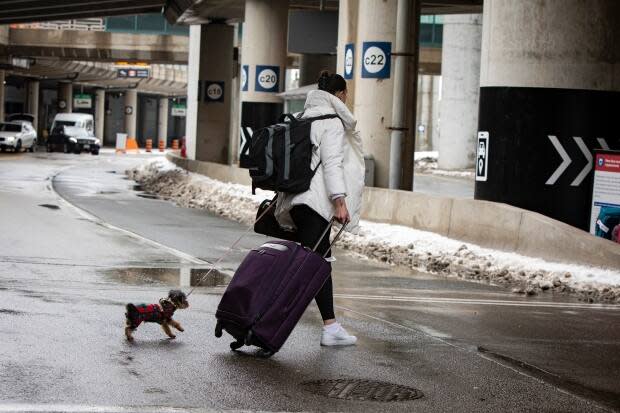 As of March 30, 219 tickets have been issued to air passengers entering Canada who refused to quarantine at a hotel, said the Public Health Agency of Canada. This photo does not depict someone who's refusing to go to a quarantine hotel. (Evan Mitsui/CBC - image credit)