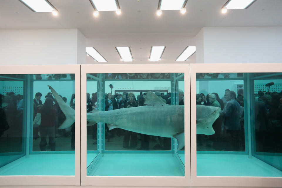 Tate Modern Launch The Damian Hirst Retrospective