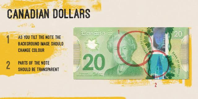 fake canadian dollar