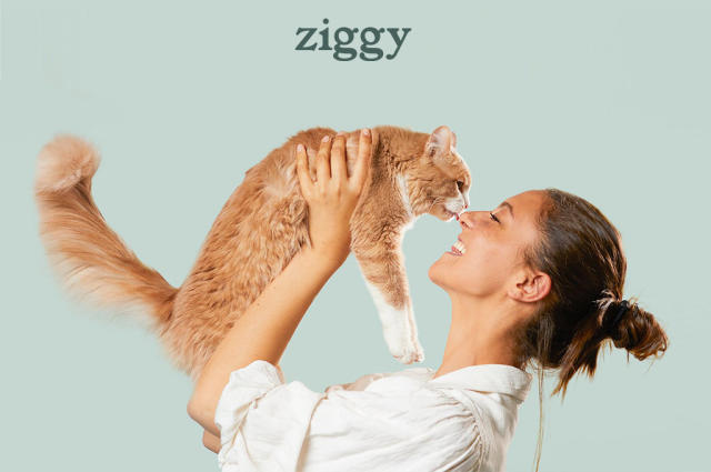 Bien nourrir mon chaton stérilisé – Ziggy