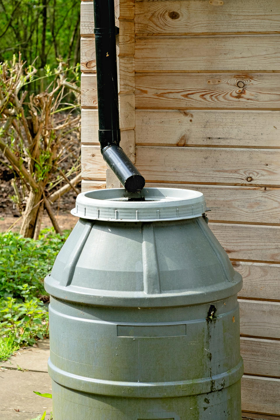 Garden: Use Your Rainwater