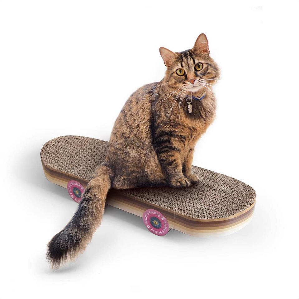 A cat sitting atop a scratching post that looks like a skateboard