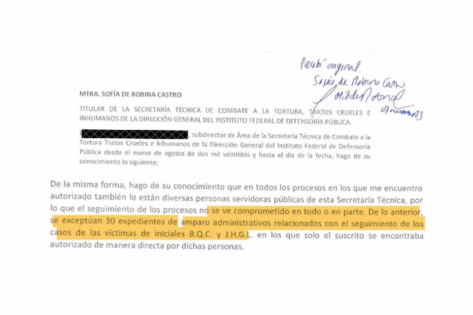 Documento de la defensoría pública federal, sobre el caso Wallace.