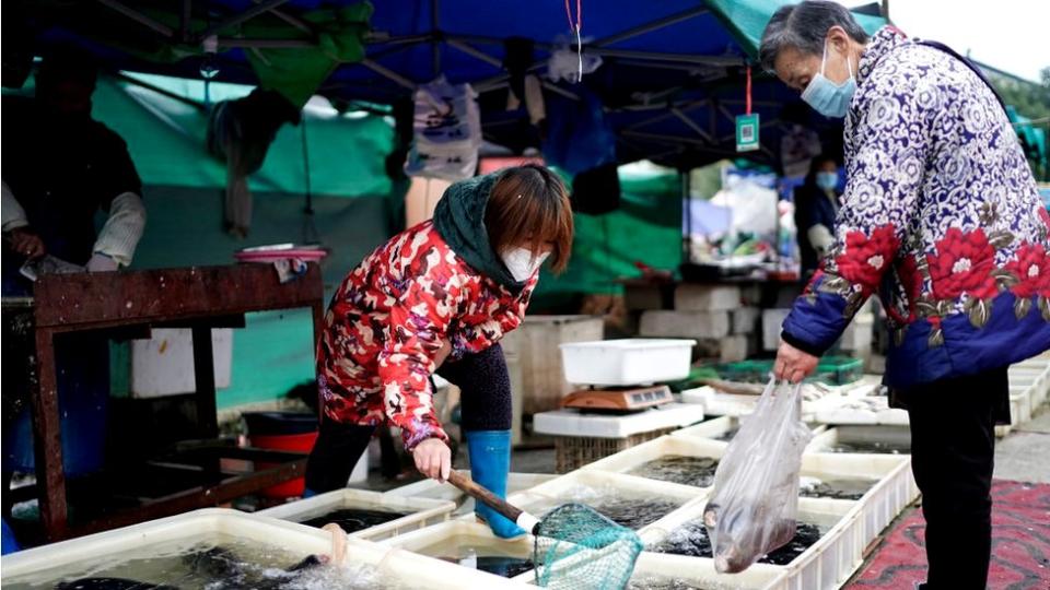 新冠病毒被認為最初爆發於武漢的一個海鮮市場。