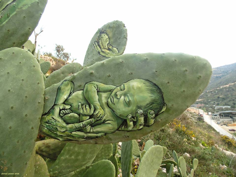 Hace más de un año que comenzó a trabajar en las hojas de los cactus como si fueran sus lienzos.