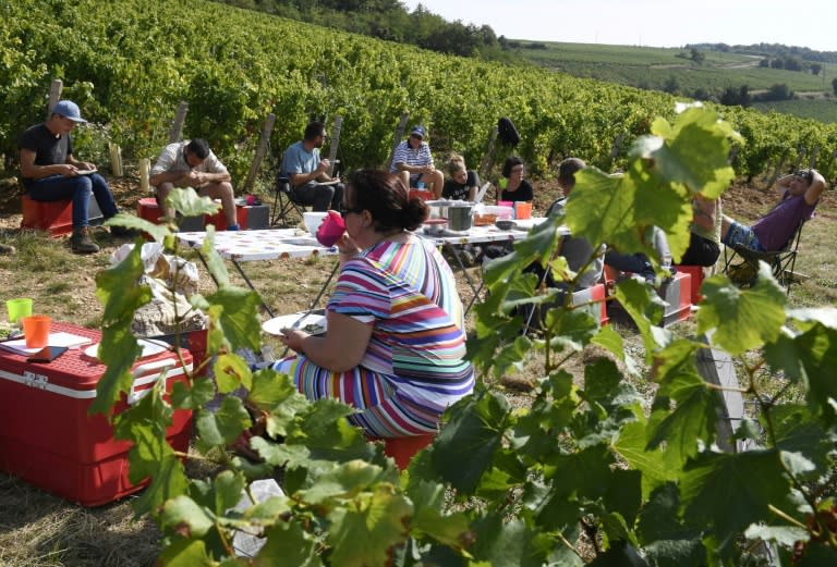 Grape pickers take their lunch break during the harvest at the Pouilly Fuisse vineyard in Chasselas, eastern France