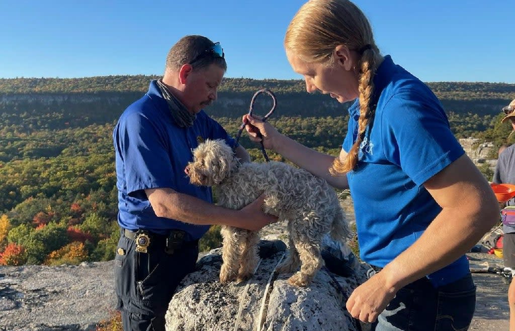 Dog-Trapped-In-Crevice (New York State Parks)