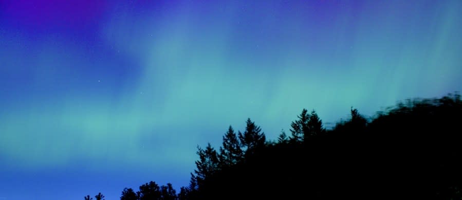 The Northern Lights from Council Crest in Portland, Oregon on May 11, 2024. (KOIN)