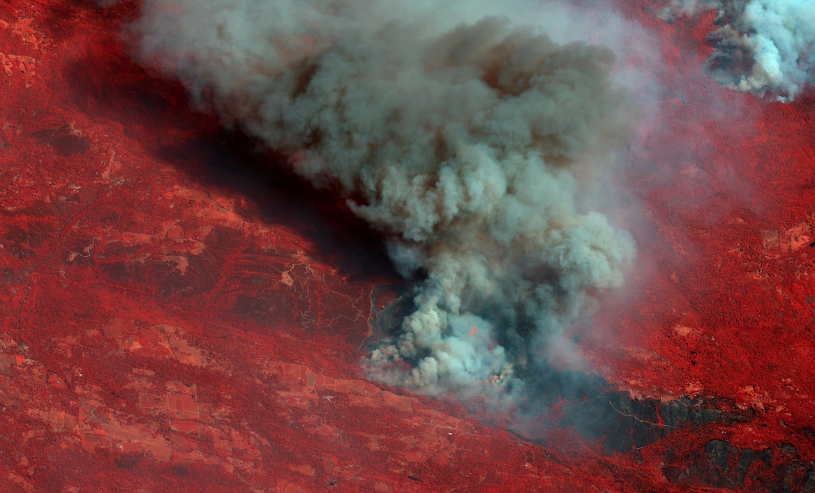 A colour infrared satellite image of smoke billowing from Caldor Fire east of Sacramento, California, 25 August (REUTERS)