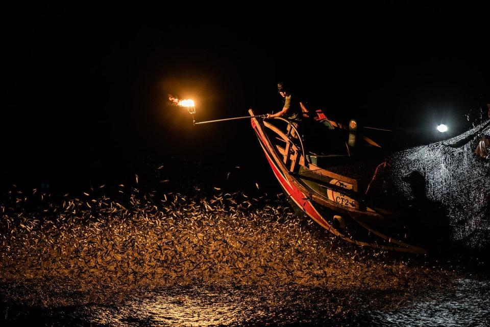 金山磺火季磺火捕魚蹦火仔。
（圖／ laoppp0608, Instagram)