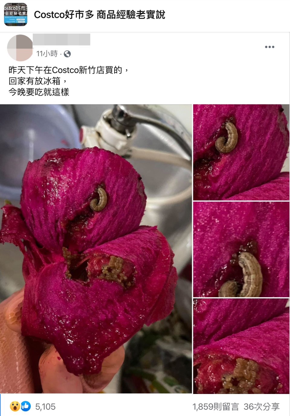 一名網友分享在好市多購買的火龍果內有超肥美的蟲。（翻攝自Costco好市多 商品經驗老實說臉書）