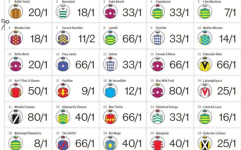 Grand National 2024 sweepstake kit